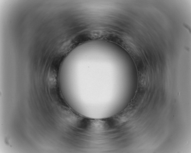 X0000096200226200801251019