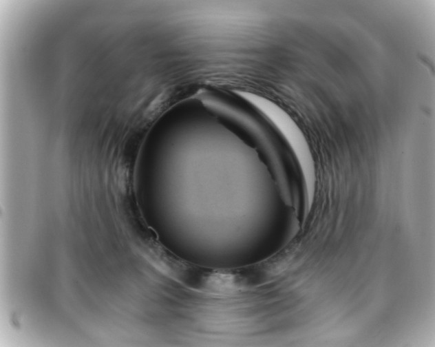 X0000096200227200801251019