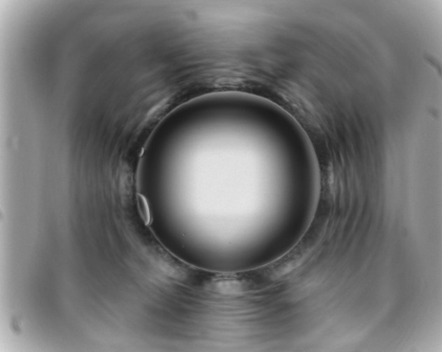 X0000096200228200801251019