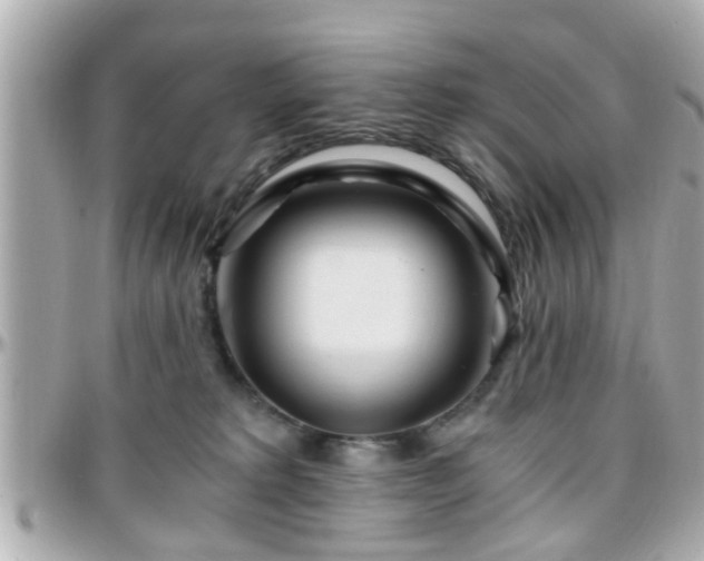 X0000096200229200801251019