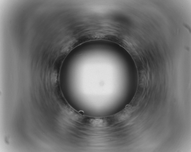 X0000096200230200801251019