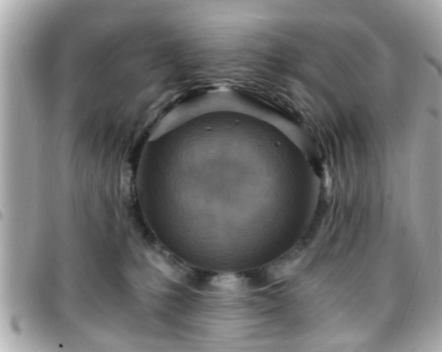 X0000096200231200801251019