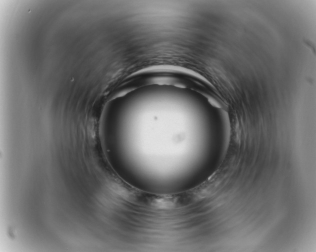 X0000096200232200801251019