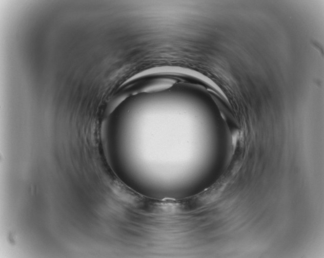 X0000096200233200801251019