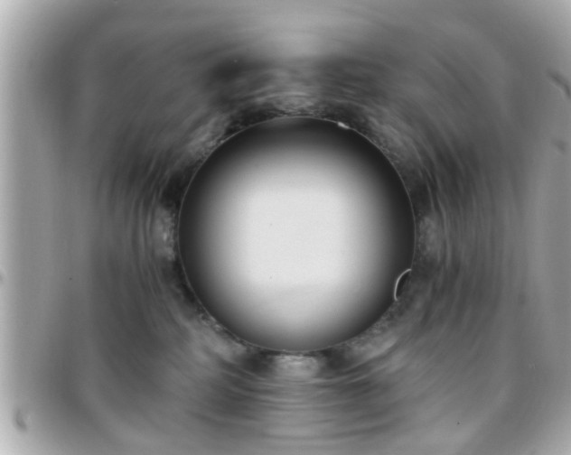 X0000096200234200801251019