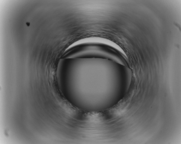 X0000096200235200801251019