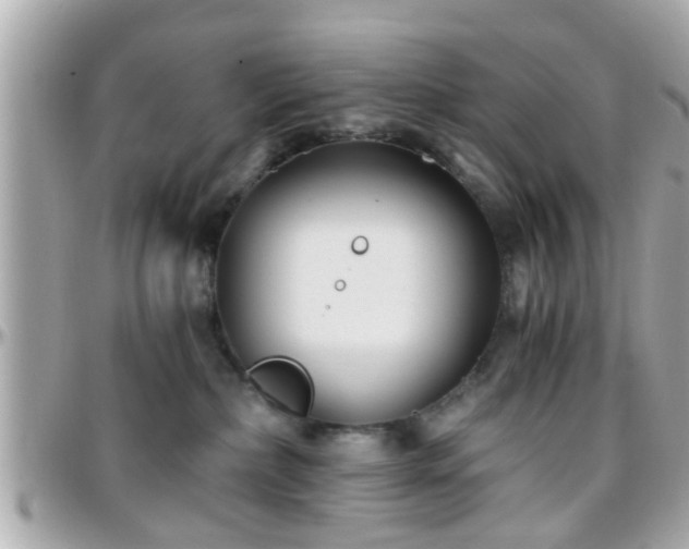 X0000096200236200801251019