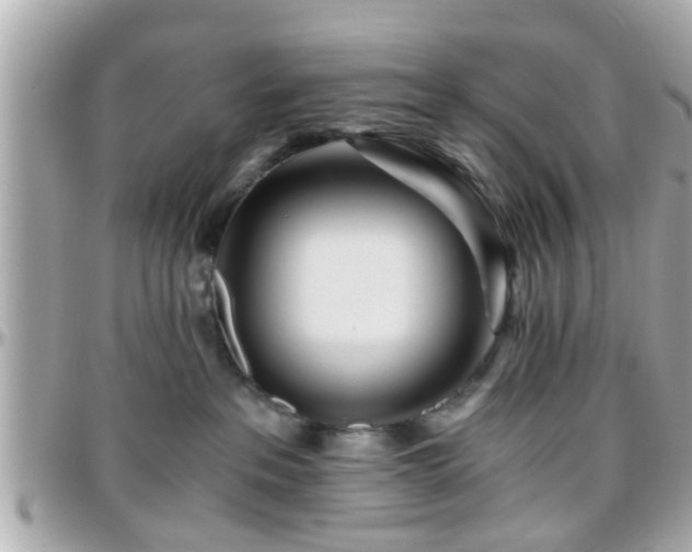 X0000096200237200801251019