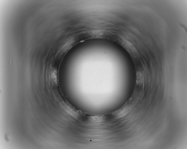 X0000096200238200801251019