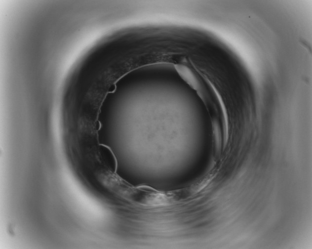 X0000096200239200801251019