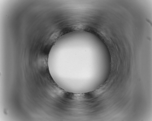 X0000096200240200801251019