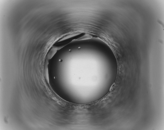 X0000096200241200801251018