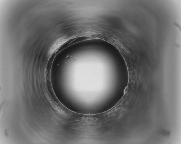 X0000096200242200801251018