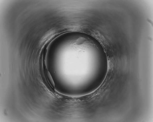 X0000096200243200801251018