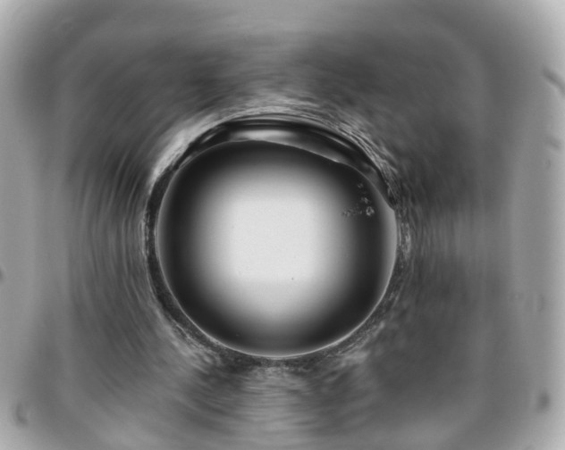 X0000096200244200801251018