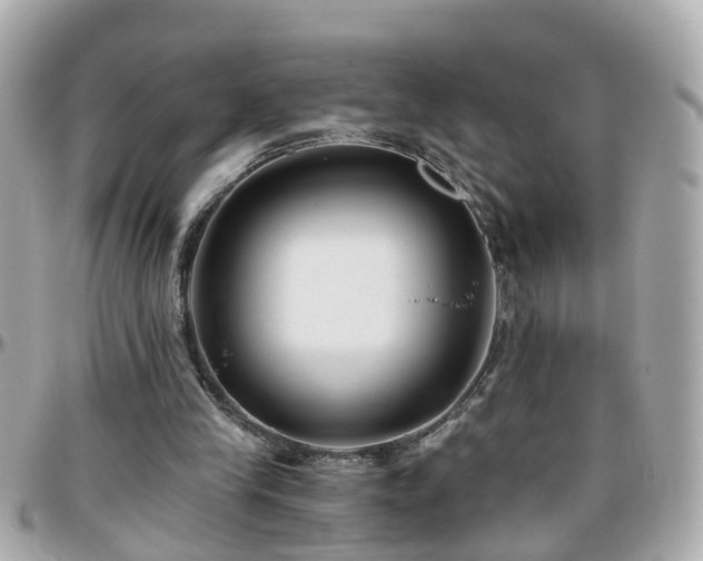 X0000096200245200801251018