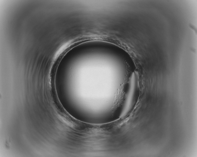 X0000096200246200801251018