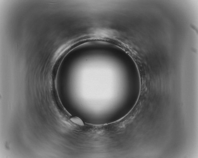 X0000096200247200801251018