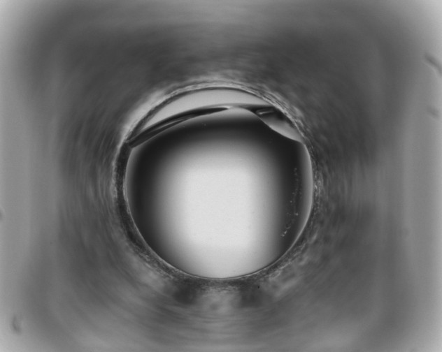 X0000096200248200801251018