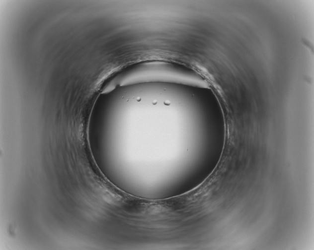 X0000096200249200801251019