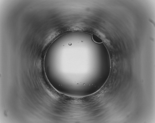 X0000096200250200801251019