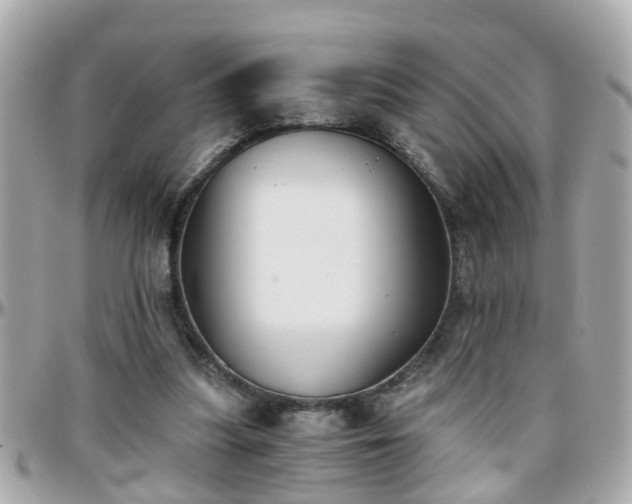 X0000096200251200801251019