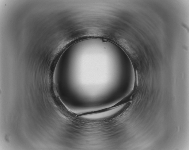 X0000096200252200801251019