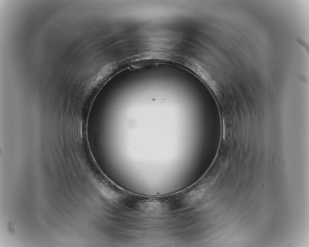 X0000096200253200801251019