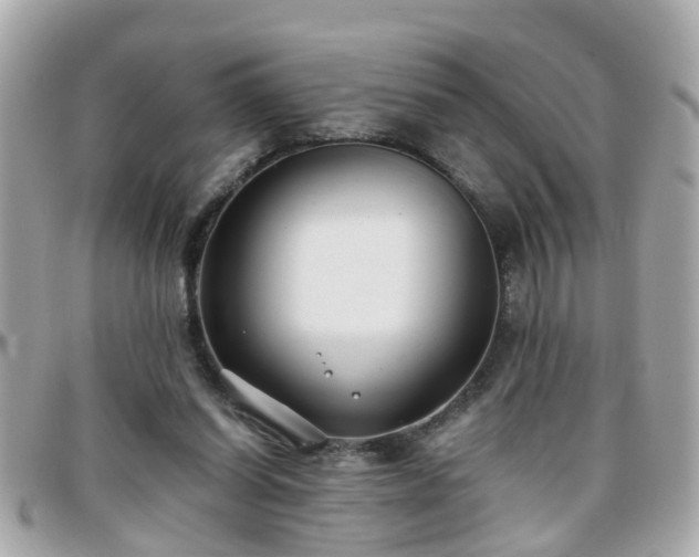 X0000096200254200801251019