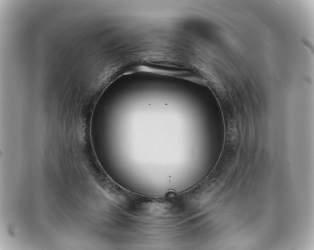 X0000096200255200801251019