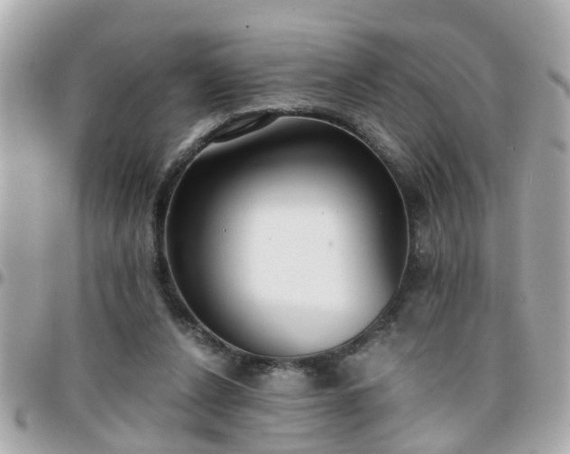 X0000096200256200801251019