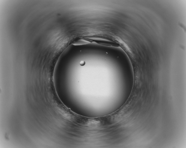 X0000096200257200801251019