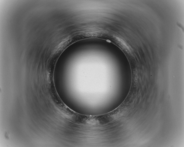 X0000096200258200801251019