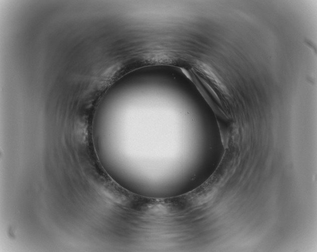 X0000096200259200801251019