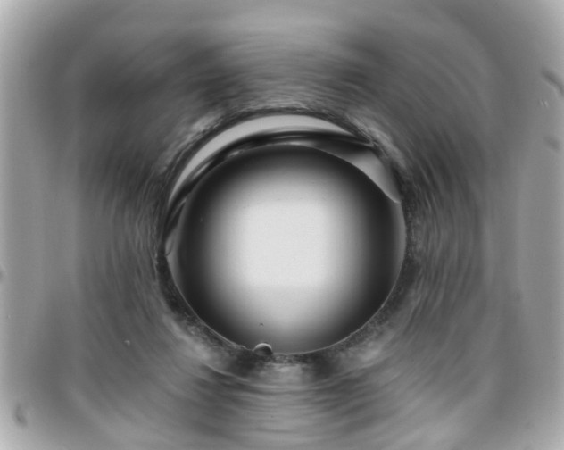 X0000096200260200801251019