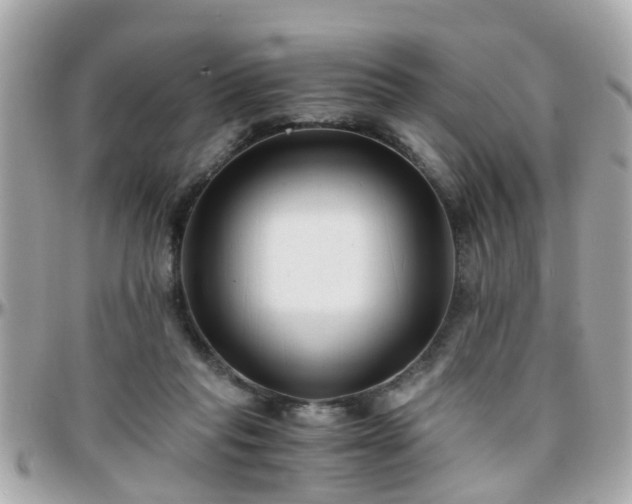 X0000096200261200801251019