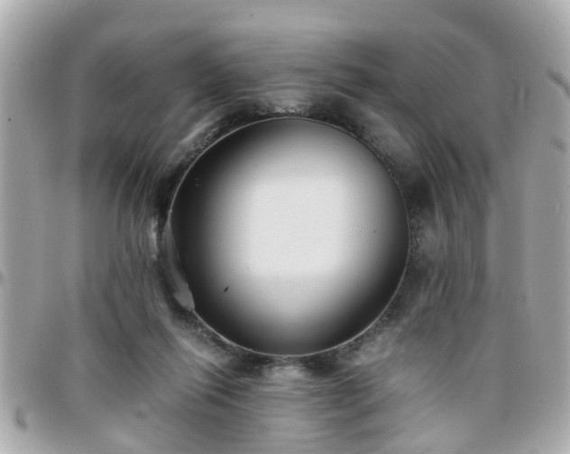 X0000096200262200801251019