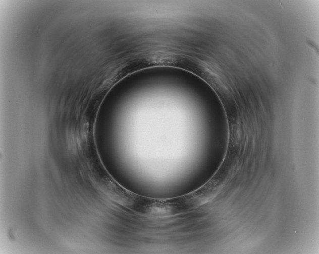 X0000096200263200801251019