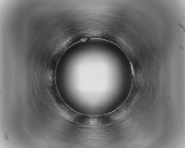 X0000096200264200801251019