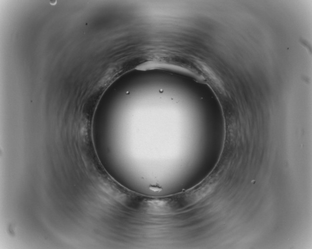 X0000096200265200801251019