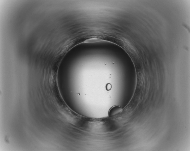 X0000096200266200801251019