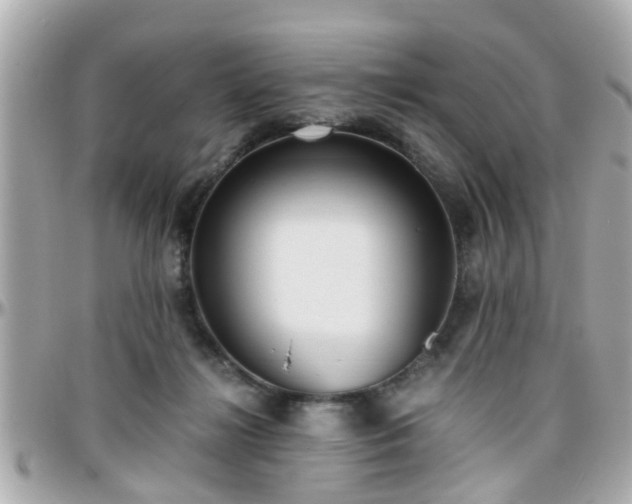 X0000096200268200801251019