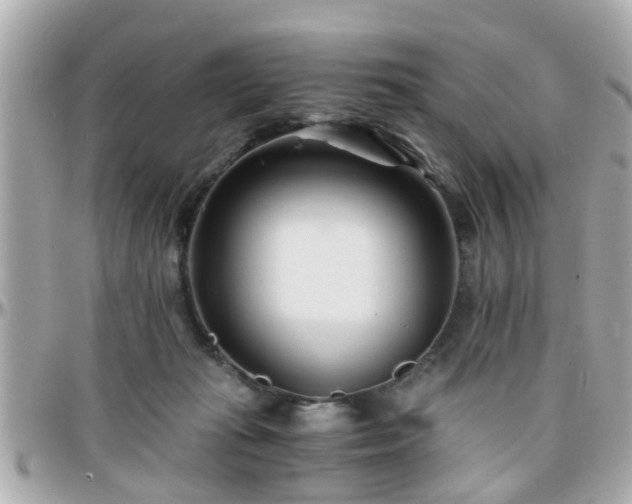 X0000096200269200801251019