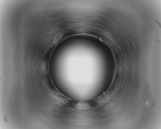 X0000096200270200801251019