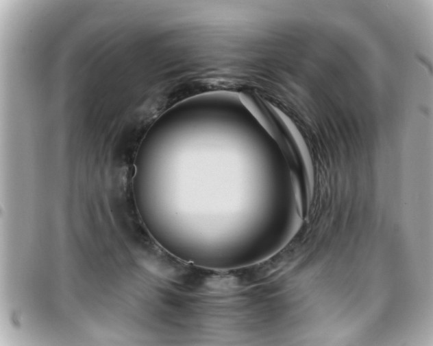 X0000096200271200801251019