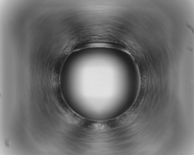 X0000096200272200801251019