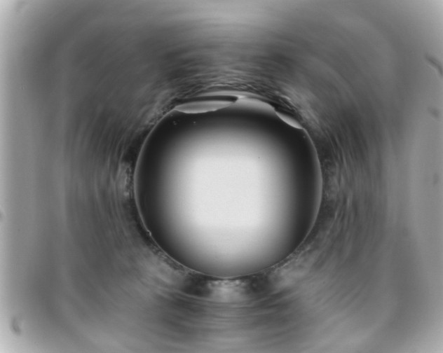 X0000096200273200801251019