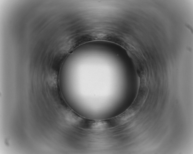 X0000096200274200801251019