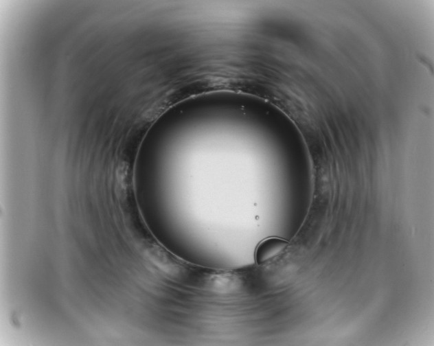 X0000096200275200801251019