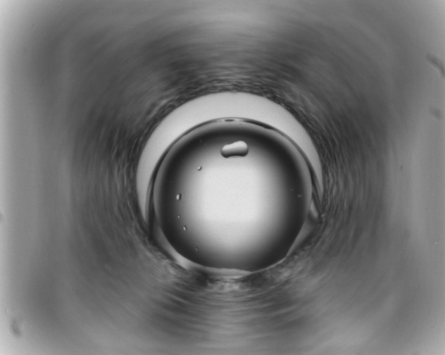 X0000096200276200801251019